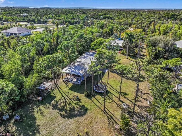 View from above of property featuring the barn, the well and many of the large pines, oaks, and palm trees that make this property unique.