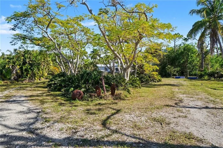 View of yard at the front entry.  Dual drive way that can access the back of the property or becomes a circular driveway in front of the residence.