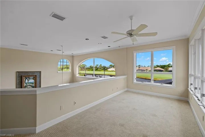 Unfurnished room featuring carpet flooring, ceiling fan, a wealth of natural light, and crown molding