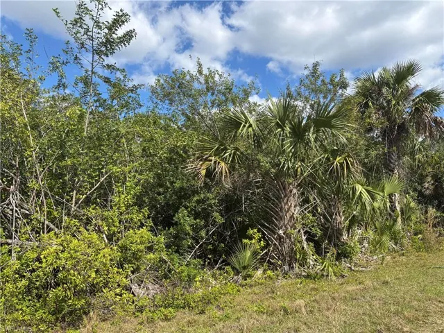 View of landscape