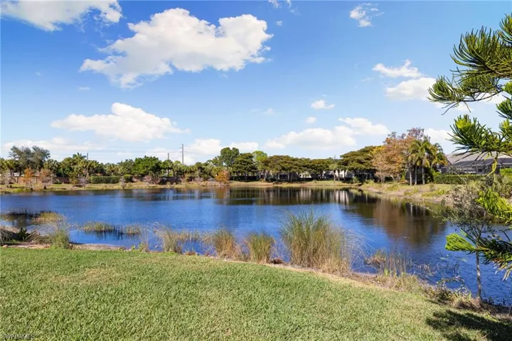 Water view