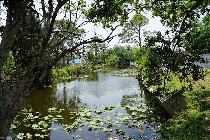Watch the turtles and fish in the freshwater canal