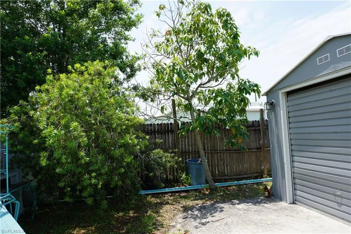 Pretty bottlebrush tree and a seasonal producing avocado tree