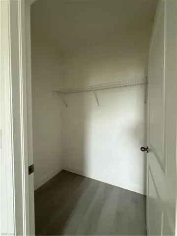 Spacious closet with dark wood-style flooring