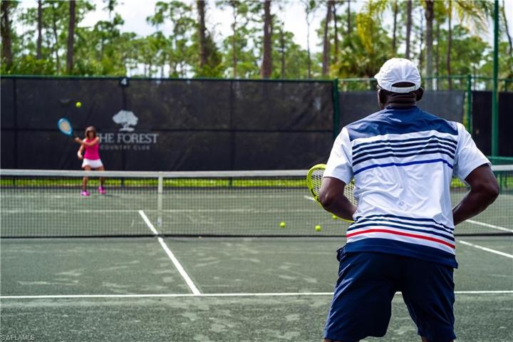6 Har-Tru Tennis Courts, New Pickleball Courts- HUGE League