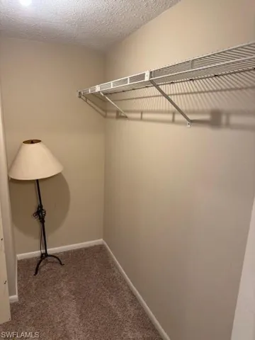 Walk in closet with dark colored carpet