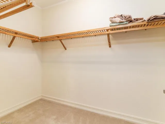 Spacious closet with light colored carpet
