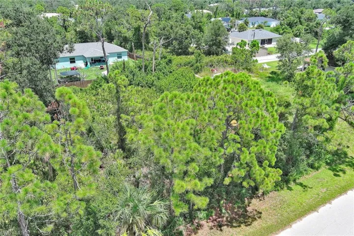 Drone / aerial view of a heavily wooded area