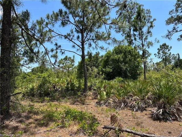 7897 5th Pl, Labelle, Florida 33935