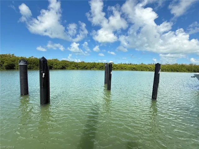 Waterfront setting featuring calm water and lush green foliage