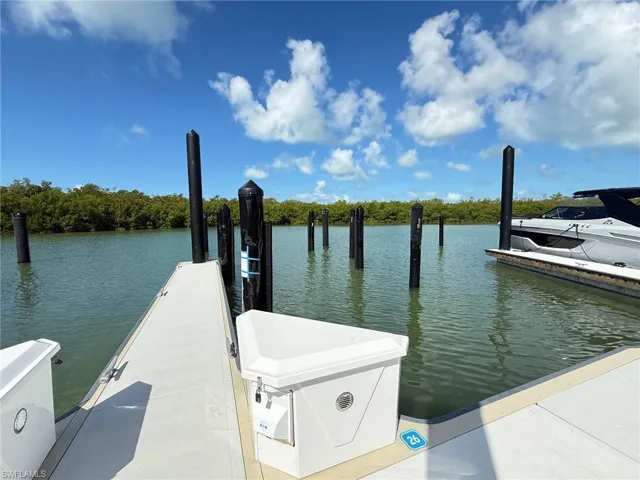Waterfront access featuring a modern dock, multiple boat slips, and a serene mangrove backdrop