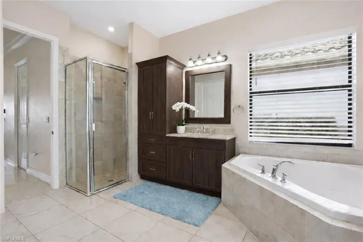 Shower and large tub