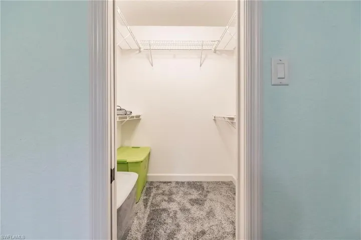 Spacious closet featuring carpet flooring
