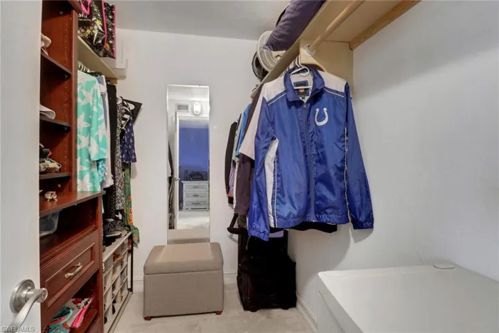 Walk in closet with light colored carpet