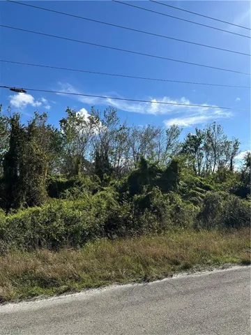 943 Joponica Ave S, Lehigh Acres, Florida 33974
