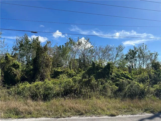 943 Joponica Ave S, Lehigh Acres, Florida 33974