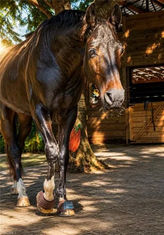 If your dream home needs room for horses, toys or both —— this refined “hobby farm”changes everything.