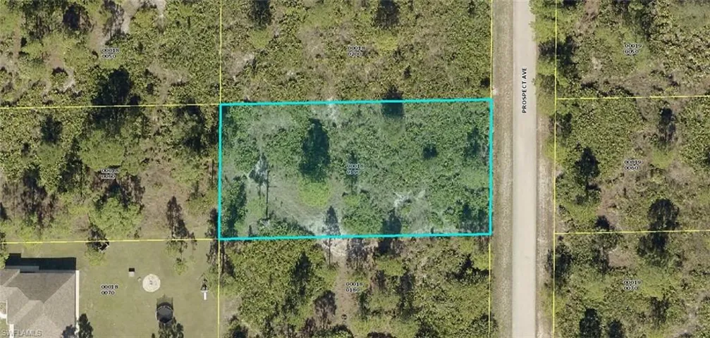 1313 Prospect Ave, Lehigh Acres, Florida 33972