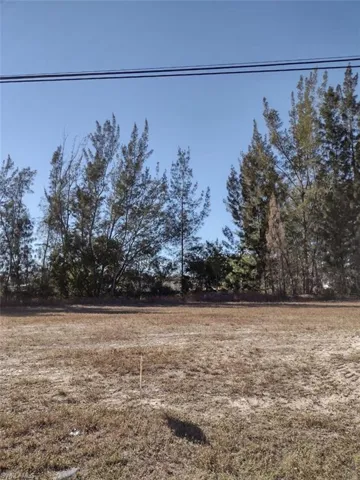 2106 Sw 17th Ave, Cape Coral, Florida 33991
