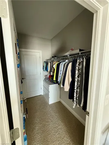 Walk in closet with light colored carpet