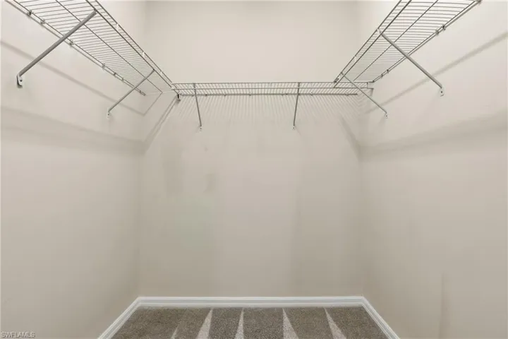 Walk in closet with carpet flooring