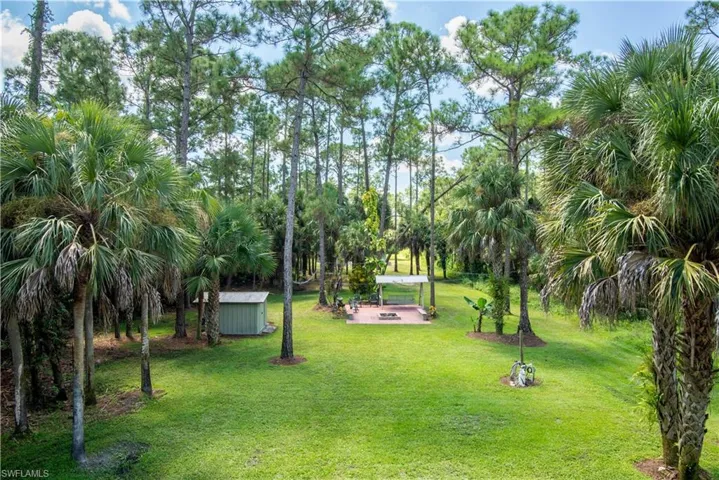 View of yard with a storage shed