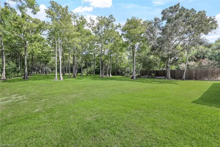 View of yard