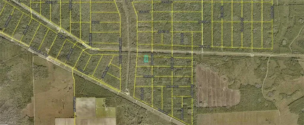 21-10-28-2775-00040-0885  Lena  ST, Hastings, FL 32145
