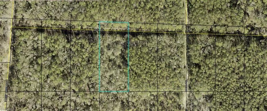 21-10-28-2775-00040-0885  Lena  ST, Hastings, FL 32145