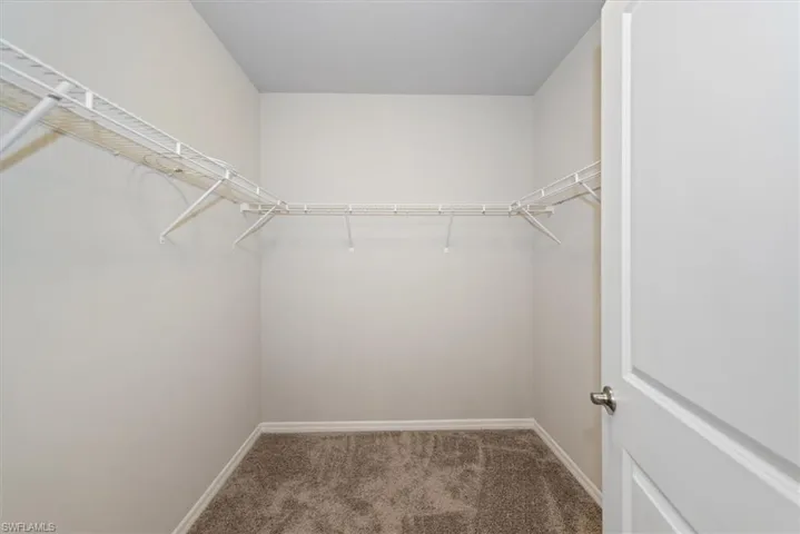 Walk in closet with carpet floors