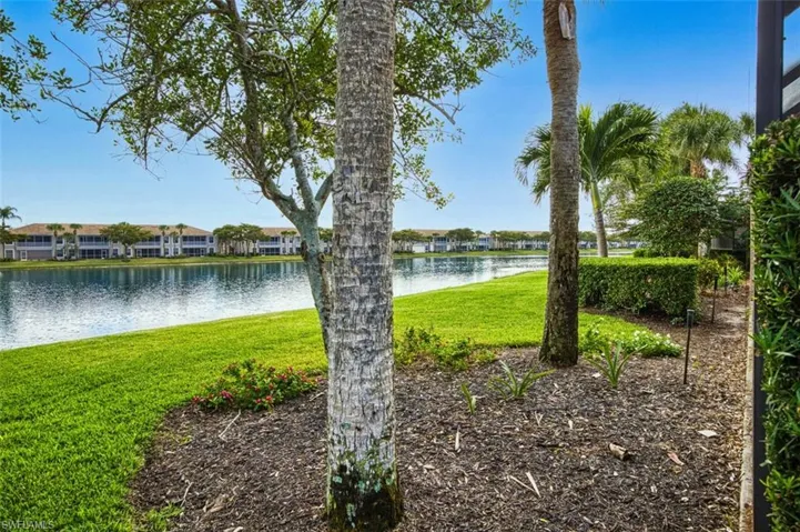 Water view