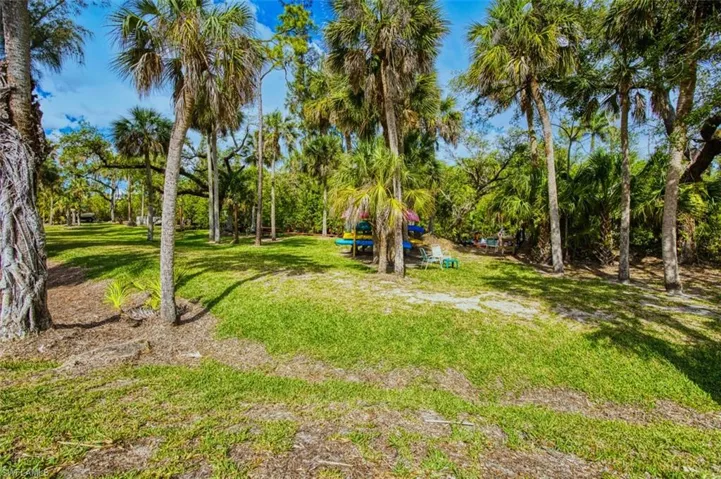 View of green lawn