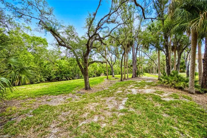 View of green lawn