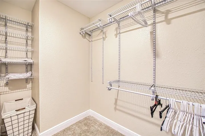 Spacious closet featuring carpet