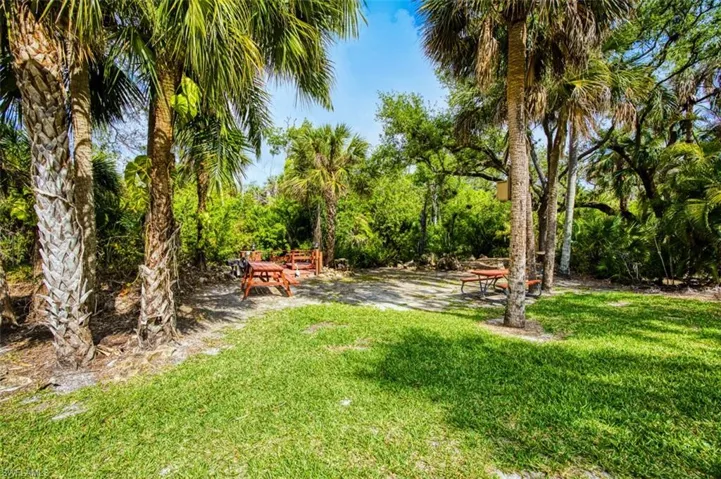 View of grassy yard