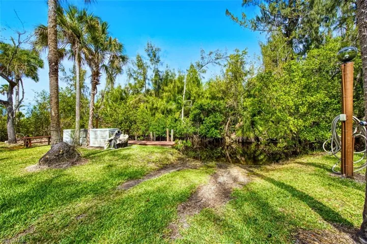 View of grassy yard