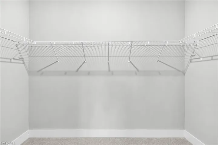 Spacious closet with carpet floors