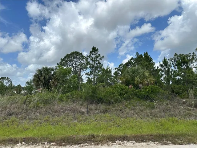 908 Panda Dr, Lehigh Acres, Florida 33974