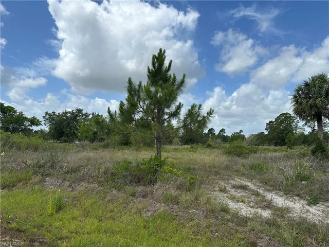 908 Panda Dr, Lehigh Acres, Florida 33974
