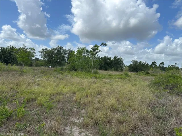 908 Panda Dr, Lehigh Acres, Florida 33974