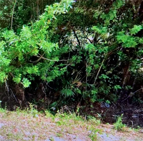 View of nature