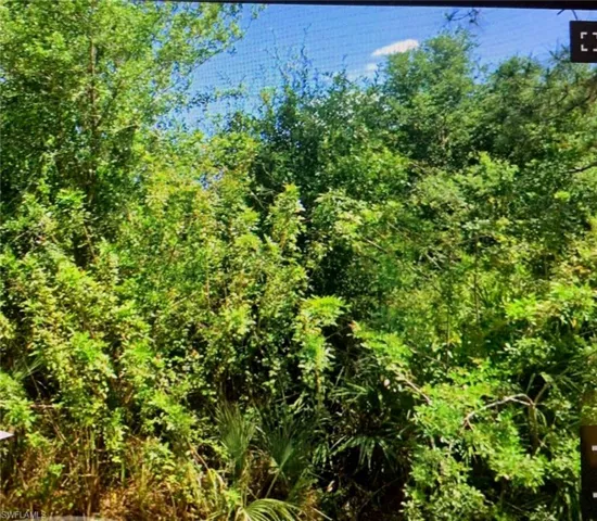 View of landscape