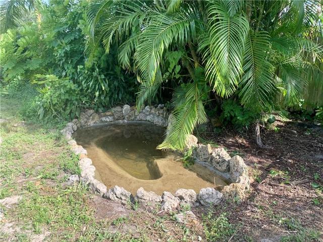 Decorative pond