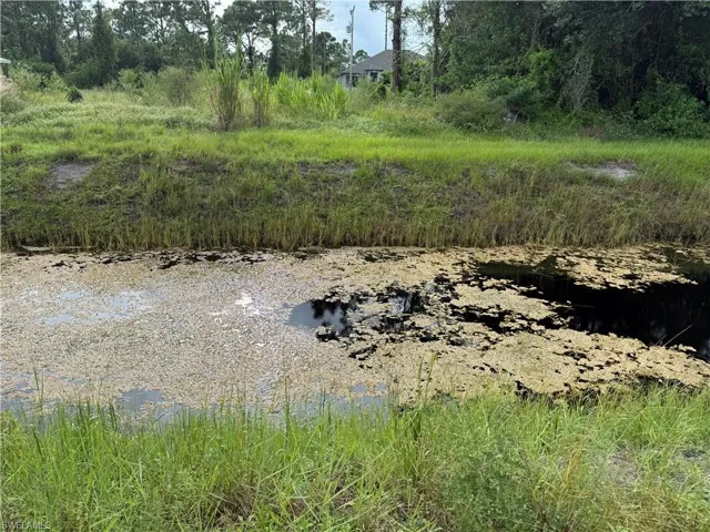 View of undeveloped land