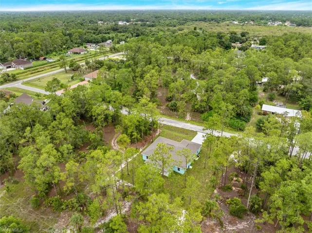 Drone view