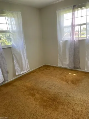Carpeted spare room featuring plenty of natural light