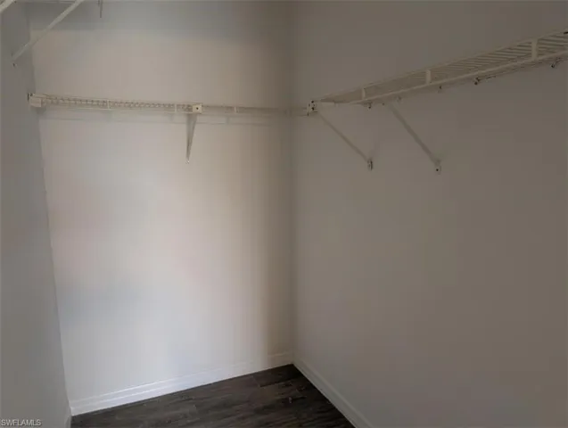 Spacious closet featuring dark wood-type flooring