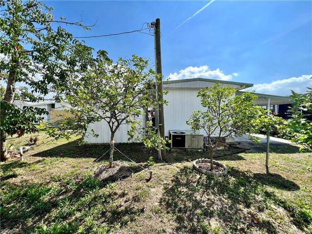 Back Yard Fruit Trees