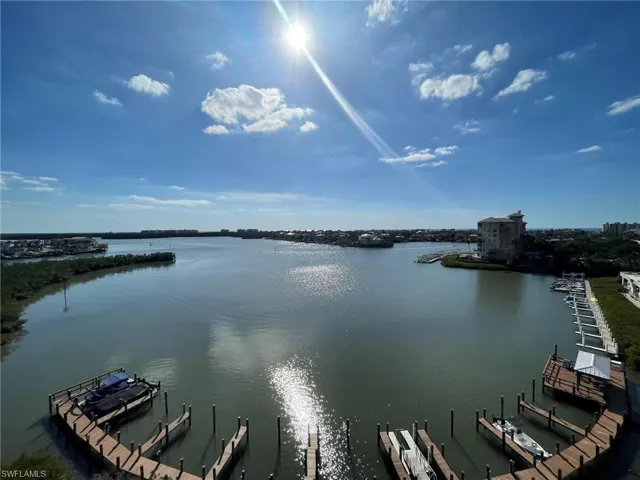 Watch the dolphins playing in the bay!