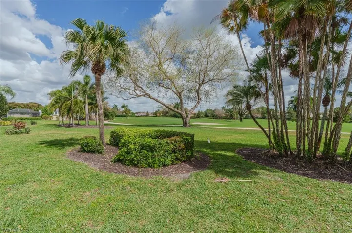 View of grassy yard